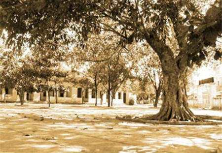 tuong tuong 10 nam sau em ve tham truong cu